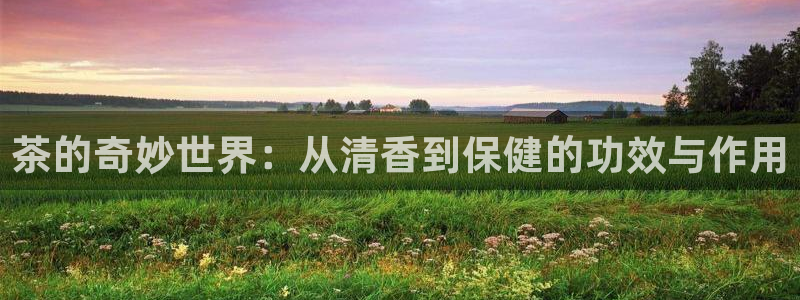 摩登6冯这7O667